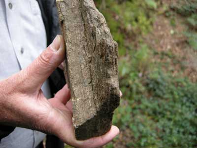 gneiss.jpg